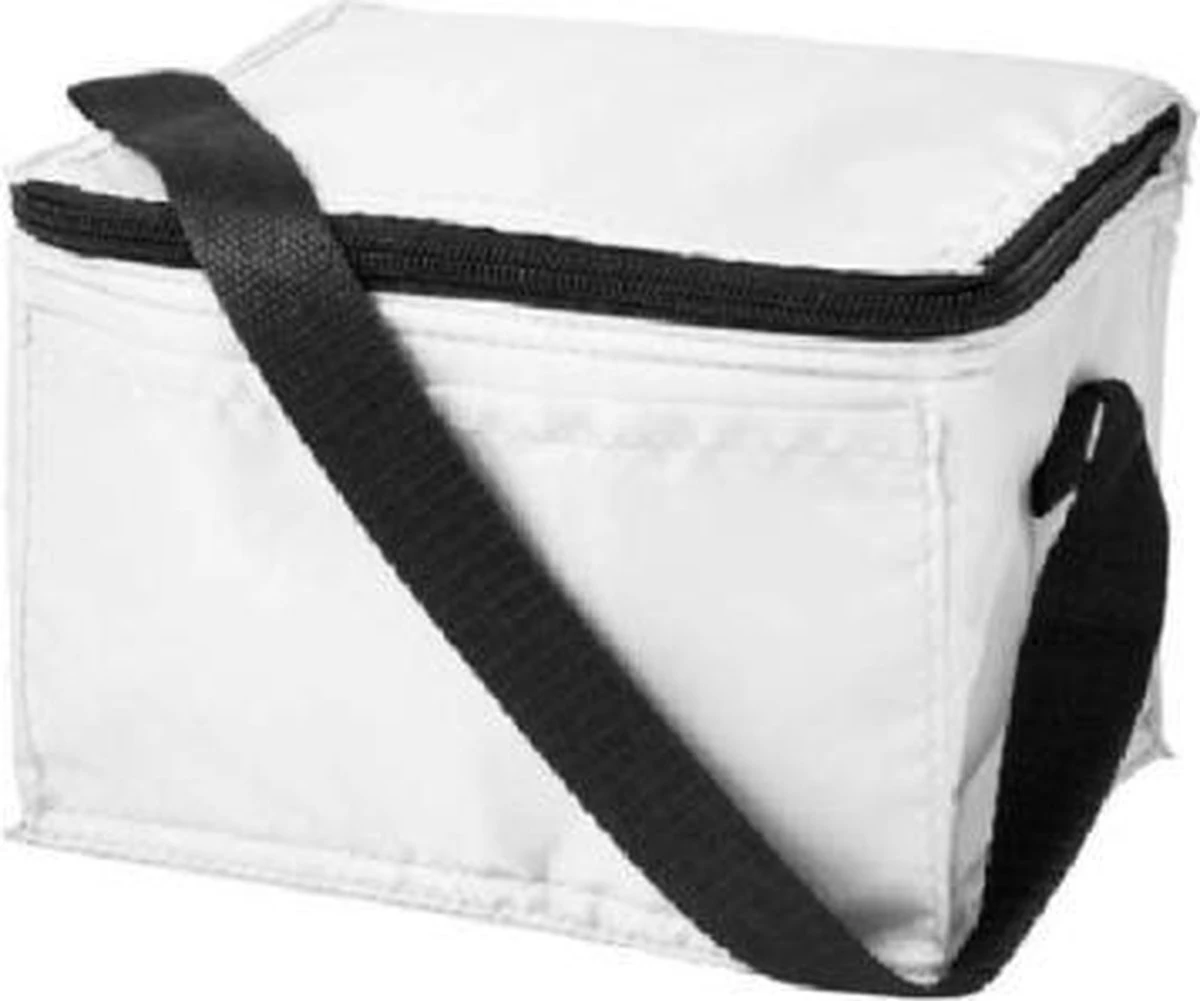 Koeltas - Mini Koeltas - Geschikt Voor 6 Blikjes - Compact Koeltas + 2 Koelelementen - Rheme 4 Koeltas - Mini Koeltas - Geschikt Voor 6 Blikjes - Compact Koeltas + 2 Koelelementen - Rheme - Afbeelding 4