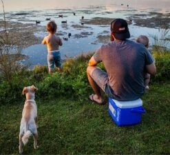 Coleman 16QT Performance Tricolor Koelbox - 15L - Blauw/Grijs 7 Coleman 16QT Performance Tricolor Koelbox - 15L - Blauw/Grijs -Buiten Kamperen 1200x1094 8