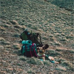 LOWLAND OUTDOOR® Donzen Slaapzak - Super Compact Blanket - 210 X 80 Cm - 590gr +8°C 21 LOWLAND OUTDOOR® Donzen Slaapzak - Super Compact Blanket - 210 X 80 Cm - 590gr +8°C -Buiten Kamperen 1200x1196 22