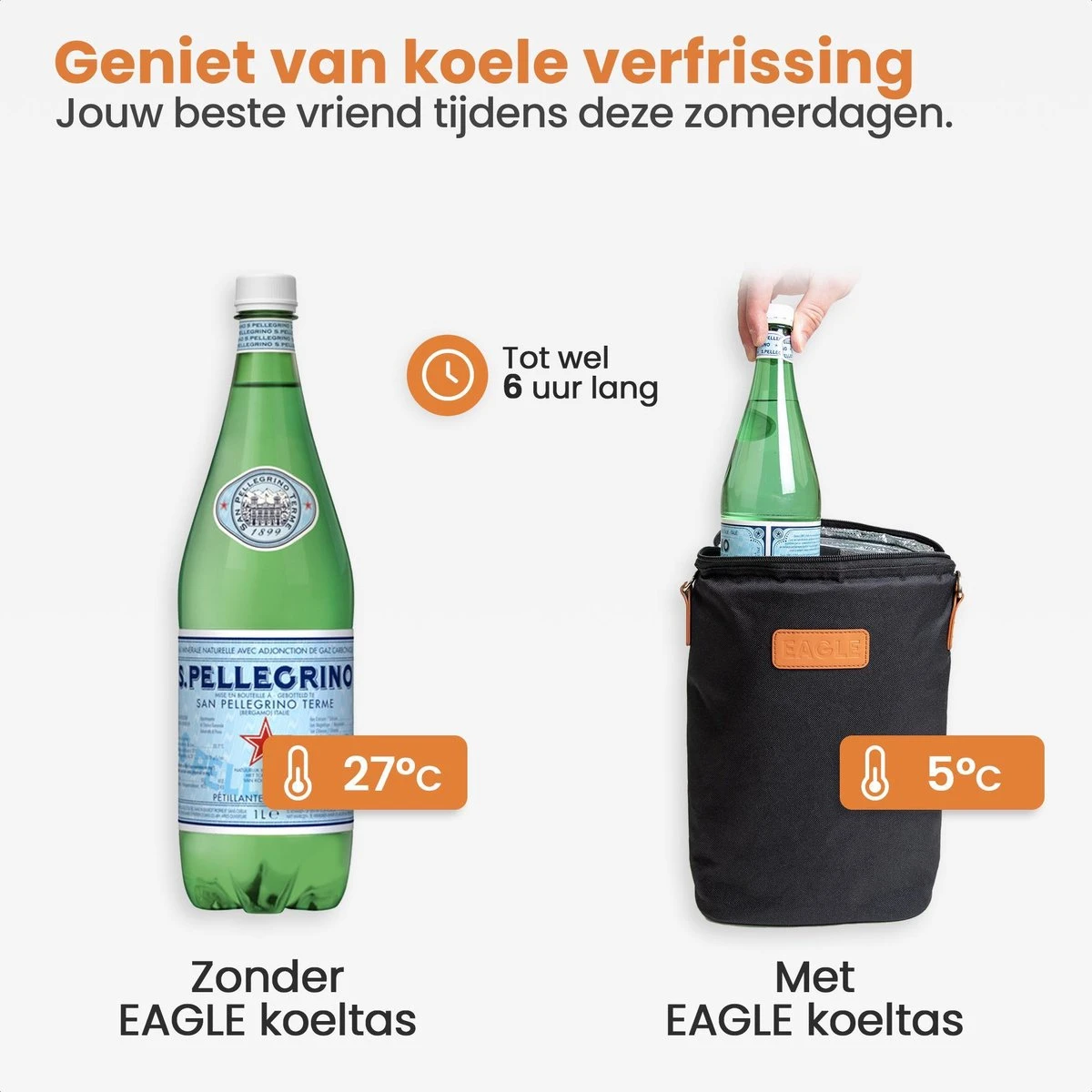 Eagle Koeltas - Compacte Koeltas - Stoffen Tas - Strandtas - Mini Koelbox 3 Eagle Koeltas - Compacte Koeltas - Stoffen Tas - Strandtas - Mini Koelbox - Afbeelding 3